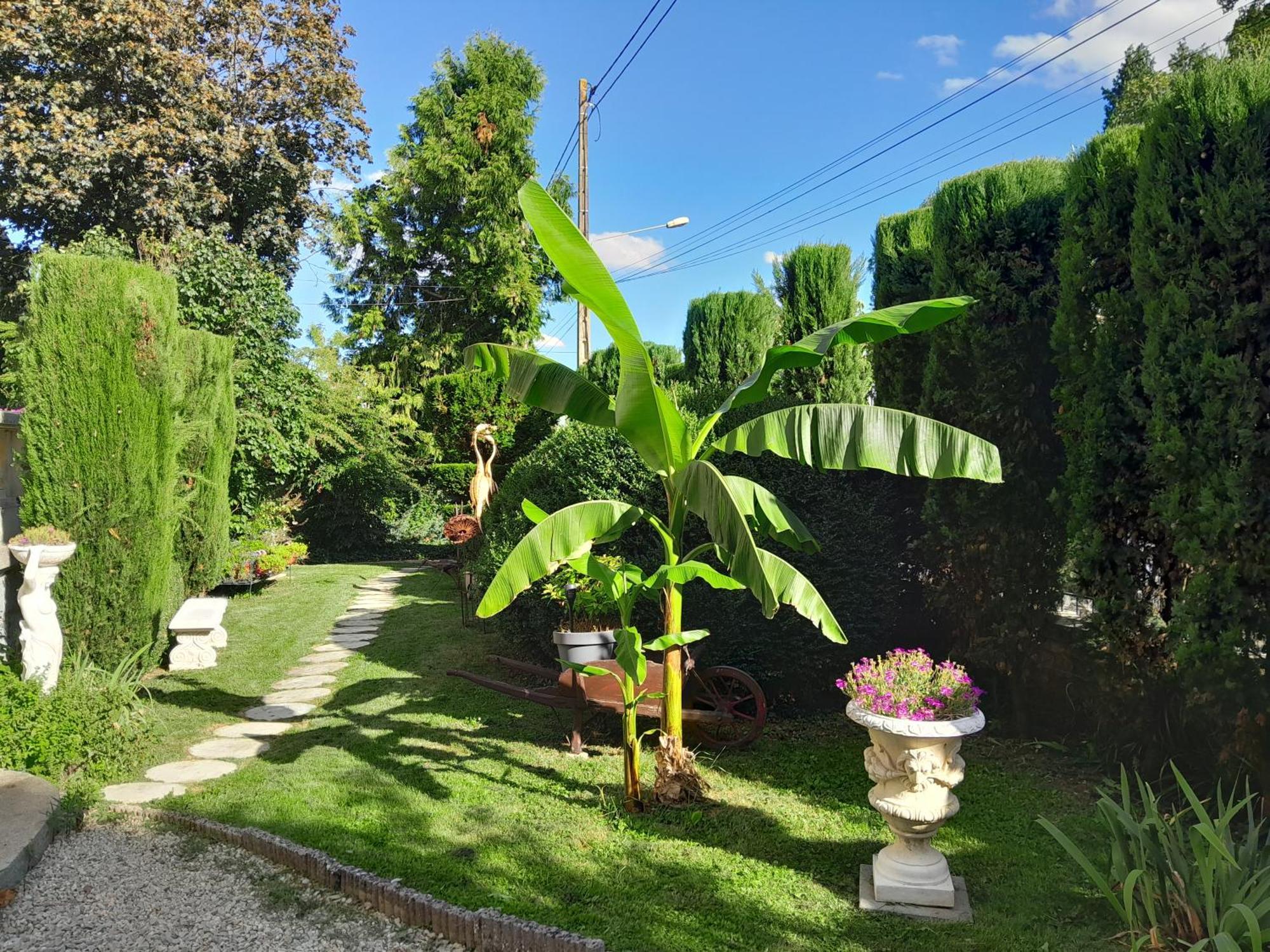 Le Madrigal Bed and Breakfast Mamers Εξωτερικό φωτογραφία